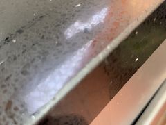 -塔斯汀中国汉堡(浦东绿地东海岸店)