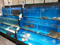 水产区-盒马鲜生(皇庭广场店)