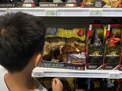 -TOYSRUS玩具反斗城(上海万象城店)