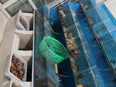 -宾朋海鲜饭庄(兴海路店)