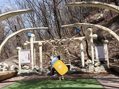 -洛阳花果山景区