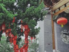 -大理文庙(大理古城)