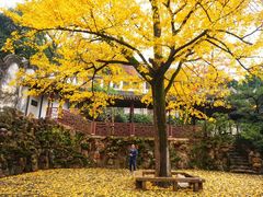 -无锡惠山寺