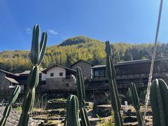 -MOJ coffee(瓯海泽雅水碓坑店)