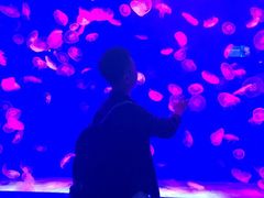 -沈阳海洋探索中心