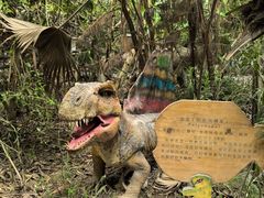 -呀路古热带植物园