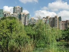 -青枫公园