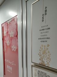 -镁连社·美联社