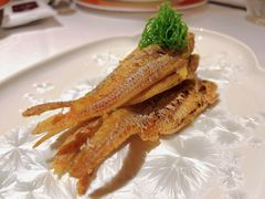 -鹿园 MOOSE(长宁店)