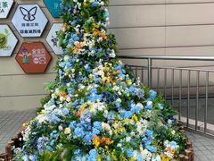 -佛山印象城(季华五路店)