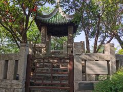 -云龙山