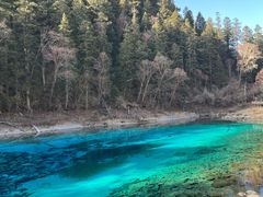 -西姆山居酒店(九寨沟沟口店)