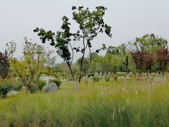 -汉长安城未央宫国家考古遗址公园