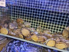 -开海·红岛海鲜虾水饺(石老人店)