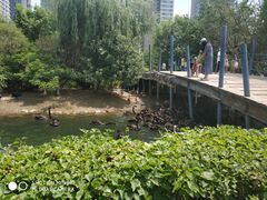 -长白岛森林公园