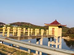-青龙山国家森林公园