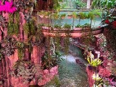 -正佳雨林生态植物园