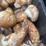 天然食材好滋味~