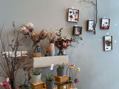 -dotcom coffee古点咖啡(致真大厦店)