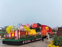 -荷兰花海