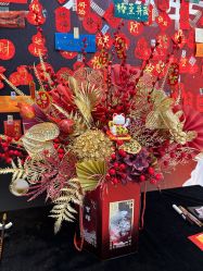 -洁铭新加坡医美