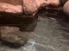 -青城道汤池