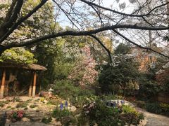 -上海植物园·停车场