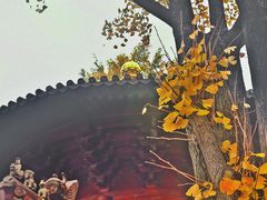 -西林禅寺