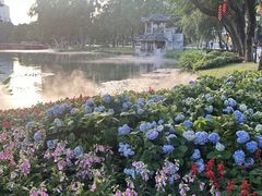 -荔湾湖公园