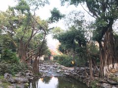-珠海圆明新园
