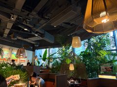 -大头椰·椰子鸡火锅(南宁万象城店)