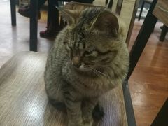 -107粉铺