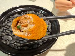 -丁老爷子苏香圆