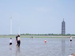 -奉贤海滩