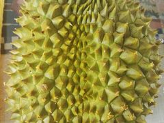 金腰榴莲-PAGODA百果园(台柳路凯德广场店)