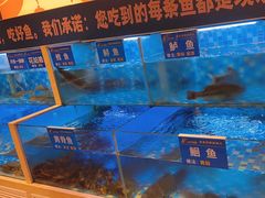 -饭橘汉江码头·乡野土菜馆(静安路店)