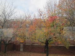 -美国独立纪念馆