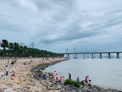 -宝安西湾红树林湿地公园