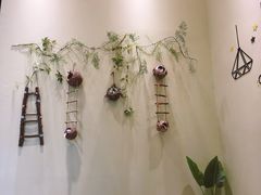 -藏猫猫咖啡主题馆(中央大道店)