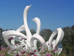 -东郊湿地公园