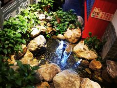 -清真·京华源铜锅涮肉(丰庆店)