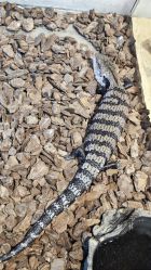 -Zoolung Zoolung动物主题公园(海信广场店)