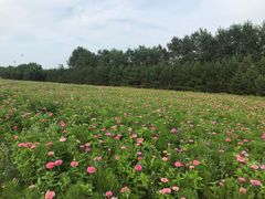 -长春世界雕塑园冰雪艺术天地