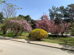 -东北大学(南湖校区)