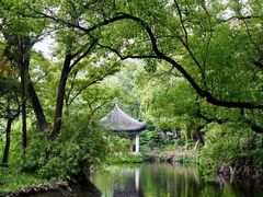 -叶家花园