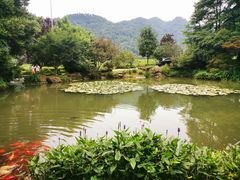 -中国茶叶博物馆(双峰馆区)