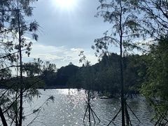 -海珠湖公园