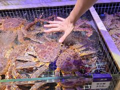 -开海·红岛海鲜虾水饺(石老人店)