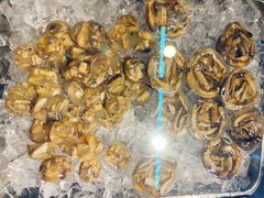 -铭聚章鱼土笋冻(松柏店)