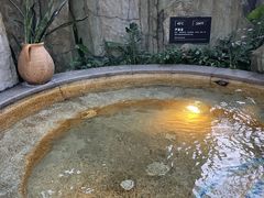 -海口观澜湖火山温泉谷